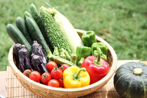 【夏バテ防止に！】太陽の光をいっぱい浴びた夏野菜たち♡旬な野菜を使ったレシピ